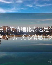 觅圈语境下的情绪化表达是什么：概念入门，觅心情感官网