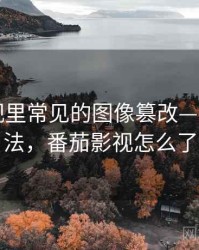 番茄影视里常见的图像篡改——阅读方法，番茄影视怎么了