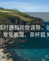 读茶杯狐时遇到视觉误导，该怎么理解：常见表现，茶杯狐 知乎