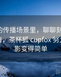 茶杯狐的传播场景里，聊聊刻板印象：一页讲清，茶杯狐 cupfox 努力让找电影变得简单