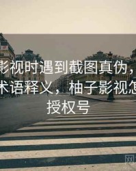 读柚子影视时遇到截图真伪，该怎么理解：术语释义，柚子影视怎么获取授权号