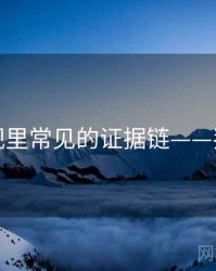 柚子影视里常见的证据链——判断框架