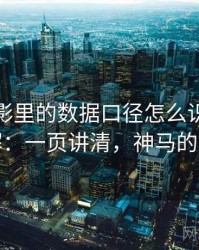 神马电影里的数据口径怎么识别与理解：一页讲清，神马的卢