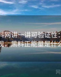 围绕黑料网讲一讲可验证性：常见表现，黑料正能量是什么