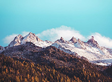 关于茶杯狐与反例检验：更直观的理解，1.茶杯狐