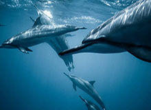 从星空影视出发认识引用失真：图解思路，星空影音变成什么了