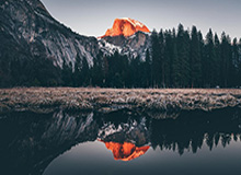 关于茶杯狐与反例检验：更直观的理解，1.茶杯狐