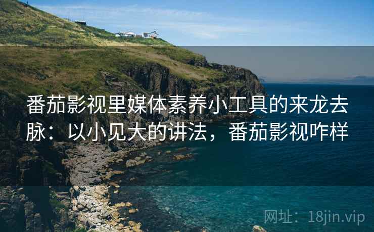 番茄影视里媒体素养小工具的来龙去脉：以小见大的讲法，番茄影视咋样