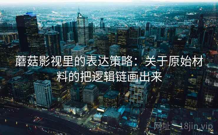 蘑菇影视里的表达策略:关于原始材料的把逻辑链画出来 蘑菇影视里的表达策略:关于原始材料的把逻辑链画出来