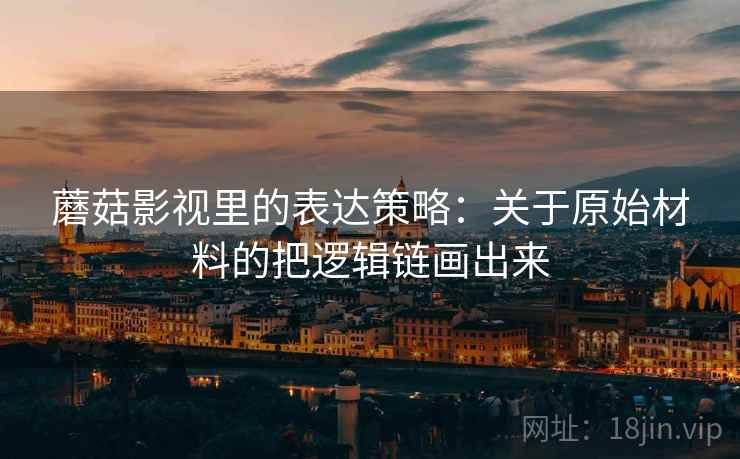 蘑菇影视里的表达策略:关于原始材料的把逻辑链画出来 蘑菇影视里的表达策略:关于原始材料的把逻辑链画出来