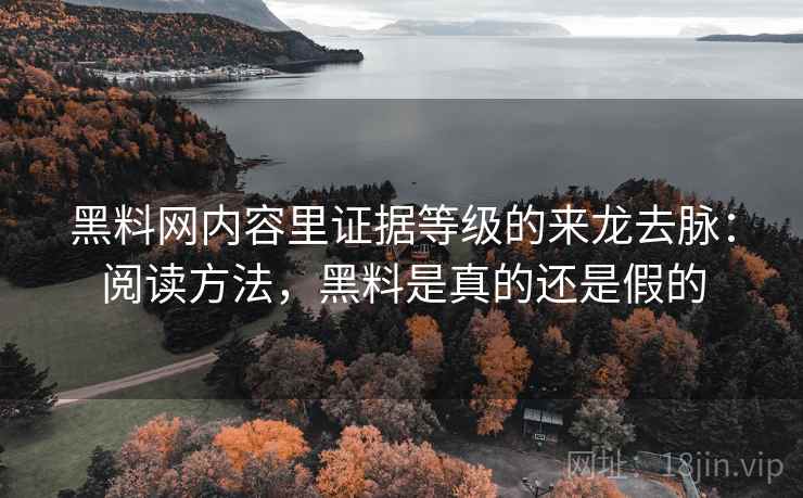 黑料网内容里证据等级的来龙去脉：阅读方法，黑料是真的还是假的