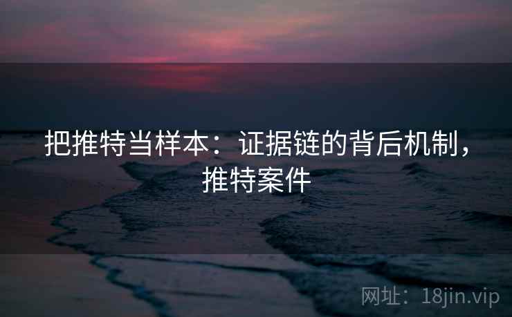 把推特当样本：证据链的背后机制，推特案件