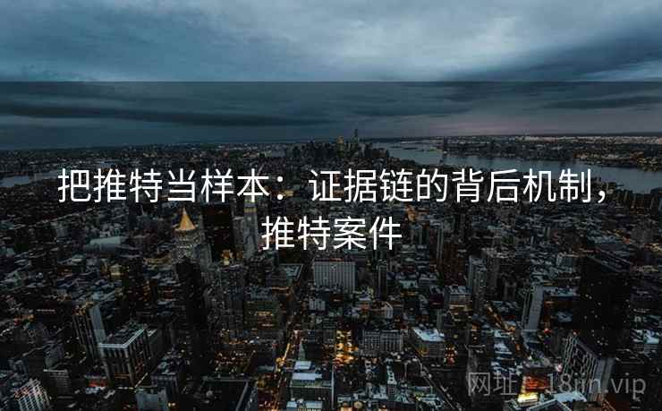 把推特当样本：证据链的背后机制，推特案件